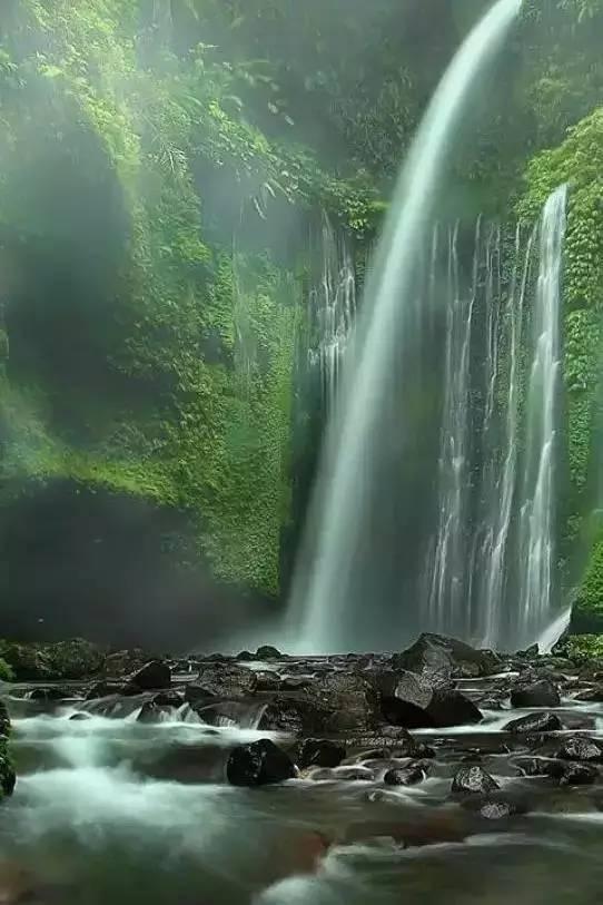 探索知识问答网页山药怎么做好吃呢?,解答您的疑问